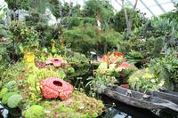 Singapur Gardens by the Bay