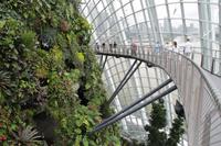 Singapur Gardens by the Bay