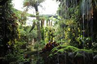 Singapur Gardens by the Bay