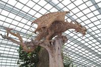 Singapur Gardens by the Bay