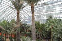 Singapur Gardens by the Bay