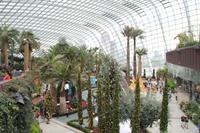 Singapur Gardens by the Bay