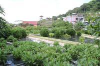 Rundgang durch Tonsai Bay