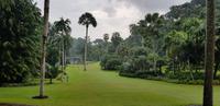 Singapur bot. Garten