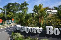 4 Botanischer Garten Singapur