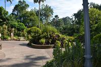 16 Orchideengarten Singapur