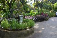 17 Orchideengarten Singapur