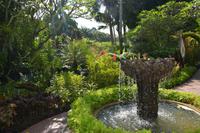 20 Orchideengarten Singapur