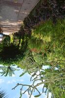 21 Botanischer Garten Singapur