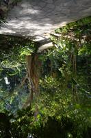 25 Botanischer Garten Singapur