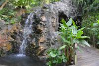 27 Botanischer Garten Singapur