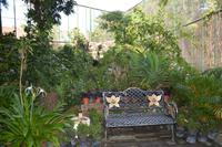 96 Schmetteringspark Sentosa