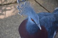 100 Schmetteringspark Sentosa