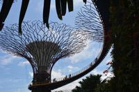 173 Supertrees Garden by the Bay