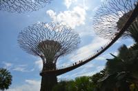 175 Supertrees Garden by the Bay