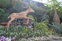 180 Garden by the Bay Flower Dome