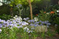 182 Garden by the Bay Flower Dome