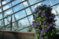 183 Garden by the Bay Flower Dome