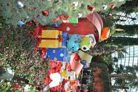 185 Garden by the Bay Flower Dome