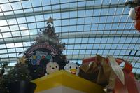 187 Garden by the Bay Flower Dome