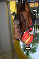 311 Königspalast Kuala Lumpur