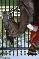 315 Königspalast Kuala Lumpur