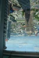 351 Petronas Towers in Kuala Lumpur