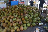 379 Kokosnüsse an den Batu Höhlen