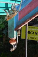 392 Batu Höhlen bei Kuala Lumpur