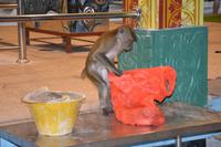 413 Batu Höhlen bei Kuala Lumpur