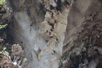 417 Batu Höhlen bei Kuala Lumpur