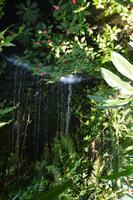 426 Schmetterlingspark Kuala Lumpur