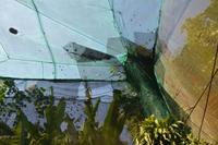 435 Schmetterlingspark Kuala Lumpur