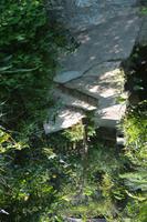 436 Schmetterlingspark Kuala Lumpur