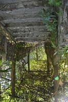 437 Schmetterlingspark Kuala Lumpur