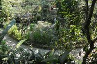 438 Schmetterlingspark Kuala Lumpur