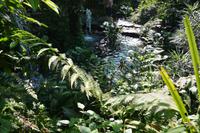 445 Schmetterlingspark Kuala Lumpur