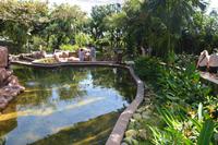 457 Vogelpark Kuala Lumpur