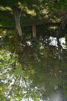 467 Vogelpark Kuala Lumpur