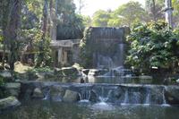 480 Vogelpark Kuala Lumpur