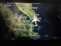 Flug nach Singapur