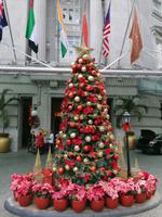 Stadtrundfahrt Singapur