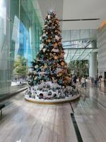 Stadtrundfahrt Singapur