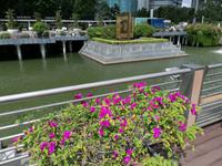 Stadtrundfahrt Singapur