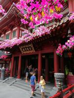 Chinesisches Viertel in Singapur