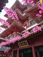 Chinesisches Viertel in Singapur