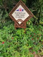 Orchideengarten in Singapur