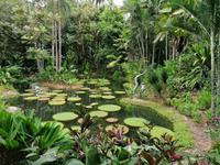 Orchideengarten in Singapur