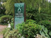 Orchideengarten in Singapur