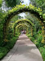 Orchideengarten in Singapur